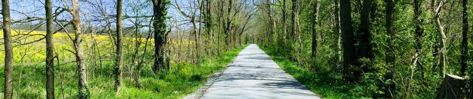 Take me home country road
