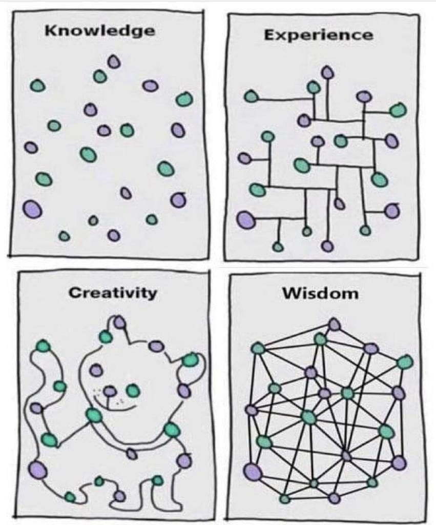 wisdom