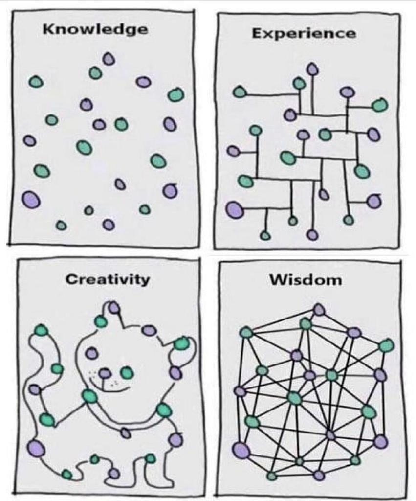 wisdom