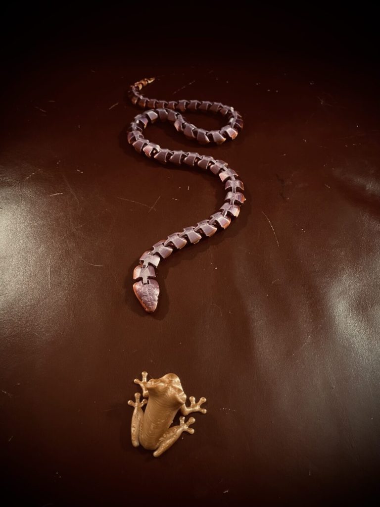 snake and frog
