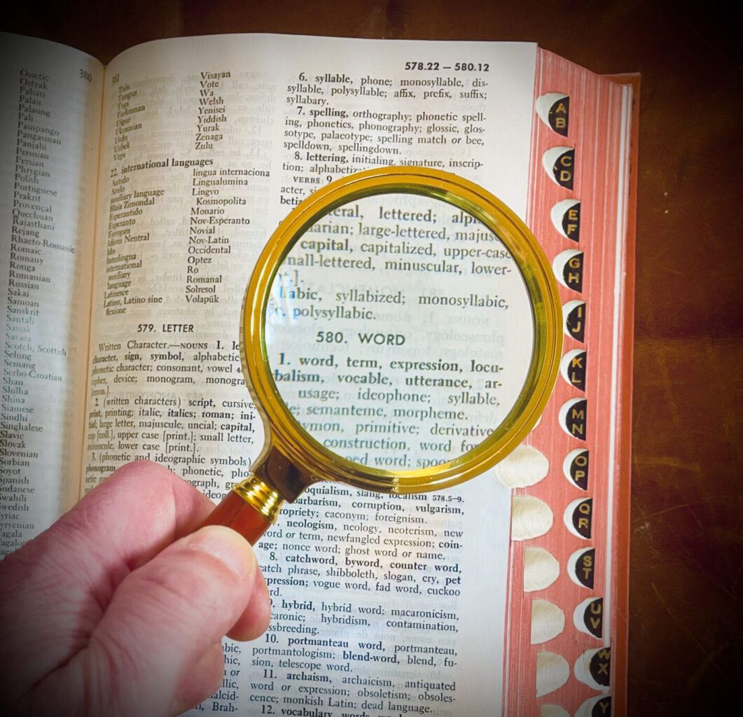 word-magnifying glass thesaurus