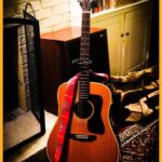 guild d-40 bluegrass jubilee